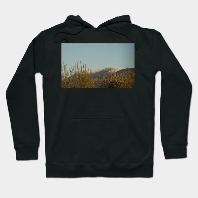 91416 high winds Hoodie by pcfyi